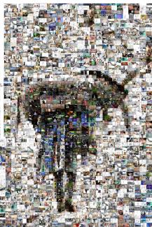 donkey photo mosaic