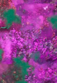 Kolorit Purple, ultrachrome print, 173 x 120cm, edition 5, 2012