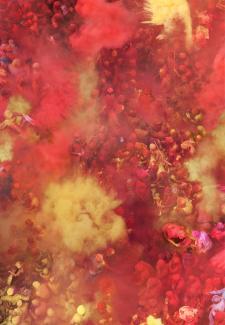 Kolorit Red, ultrachrome print, 173 x 120cm, edition 5, 2012